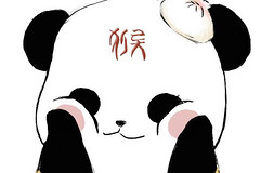 成都九寨沟熊猫控悠闲游