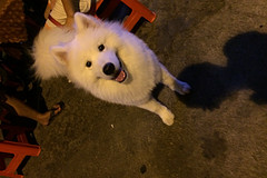 8月中下旬，一周旅游求伴