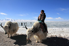 北疆7日游，10月6号乌鲁木齐出发