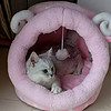 http://qyimg.iqingyi.com/foruser/20171008/cc57b17a58afaa11d55602d6c3d2e648.jpg!usercover