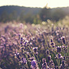 http://qyimg.iqingyi.com/foruser/20171010/006f1b600a23acb1c6163901e8864cec.jpg!usercover