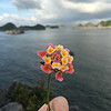 http://qyimg.iqingyi.com/foruser/20171013/fcf78519a33b5553.jpg!usercover
