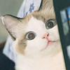 http://qyimg.iqingyi.com/foruser/20171020/a8dd4a1210fab1d2.jpg!usercover