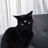http://qyimg.iqingyi.com/foruser/20190516/44d4b994402d67698fb9e3afb75fb0b2.jpg!usercover