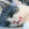 http://qyimg.iqingyi.com/foruser/20190518/504b9278cede5522bff9dc42b94dcd97.jpg!usercover