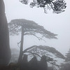 http://qyimg.iqingyi.com/foruser/20190610/faf20609a6822643.jpg!usercover