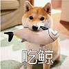 http://qyimg.iqingyi.com/foruser/20191105/827fb48336bfb010.jpg!usercover