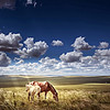 http://qyimg.iqingyi.com/foruser/20191108/df604bd82855cbc0b29a3a5a217aa0fc.jpg!usercover