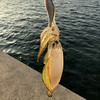 http://qyimg.iqingyi.com/foruser/20191108/fbee6449ed8bf2c9a4c8d6d0f1e41a76.jpg!usercover