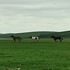 http://qyimg.iqingyi.com/foruser/20200403/974005d280192c259abc2684904c6ade.jpg!usercover
