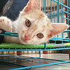 http://qyimg.iqingyi.com/foruser/20200518/36d7c4498c2242e18c6bbb313fb1bd0e.jpg!usercover