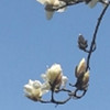 http://qyimg.iqingyi.com/foruser/20201006/68b6c632cf36e0d9b991f8acabef58ce.jpg!usercover
