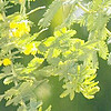 http://qyimg.iqingyi.com/foruser/20201026/c6ffd8381a4497ffb196549bae8bb2fa.jpg!usercover