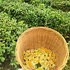 http://qyimg.iqingyi.com/foruser/20201030/65f8dd84585ca899d8a49aa3dda114c2.jpg!usercover