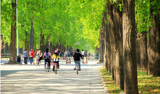 清华，光是那风景就让人陶醉了（1）-清华大学,北京