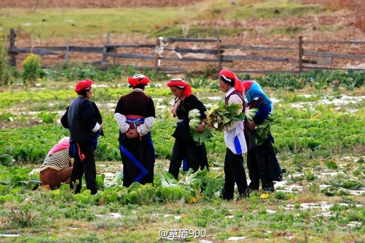 得荣太阳谷，川西美如画-莫木大峡谷,得荣县,香格里拉,甘孜