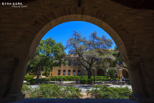中世纪花园般的斯坦福大学-硅谷,帕罗奥罗,旧金山,美国