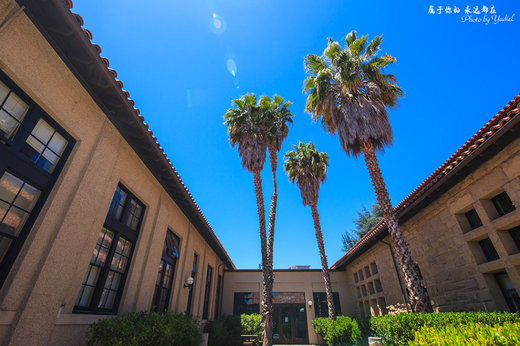 中世纪花园般的斯坦福大学-硅谷,帕罗奥罗,旧金山,美国