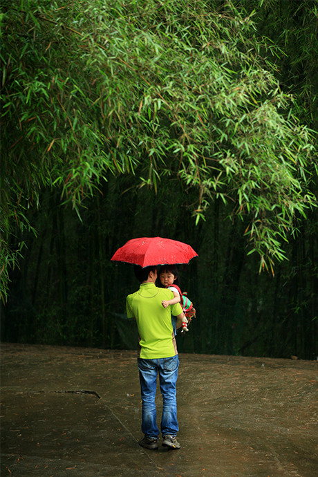 烟雨丹霞•拾忆-丹霞山,广东