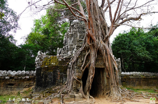 【吴哥】塔布隆寺，千年古树的倾世交缠-崩密列,吴哥窟,柬埔寨