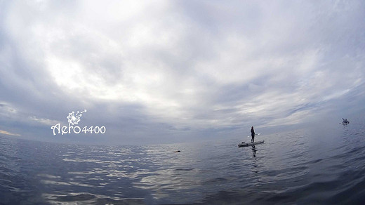 【圣地亚哥生活】划船看鲸鱼-加利福尼亚州,美国