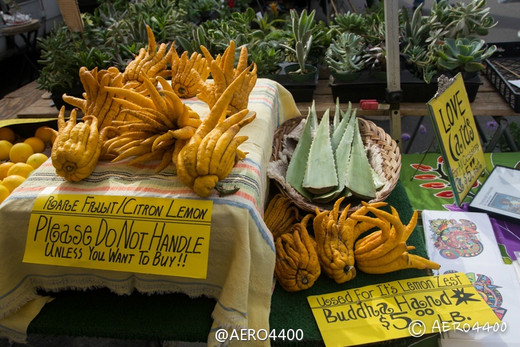 农夫市场去赶集（Hillcrest Farmer’s Market）-圣地亚哥,加利福尼亚州,美国