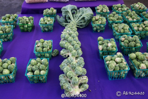 农夫市场去赶集（Hillcrest Farmer’s Market）-圣地亚哥,加利福尼亚州,美国