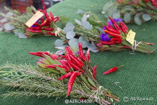 农夫市场去赶集（Hillcrest Farmer’s Market）-圣地亚哥,加利福尼亚州,美国