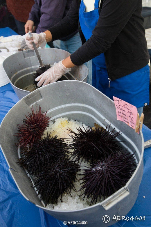 农夫市场去赶集（Hillcrest Farmer’s Market）-圣地亚哥,加利福尼亚州,美国