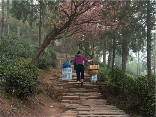 天开神秀齐云山-黄山,安徽