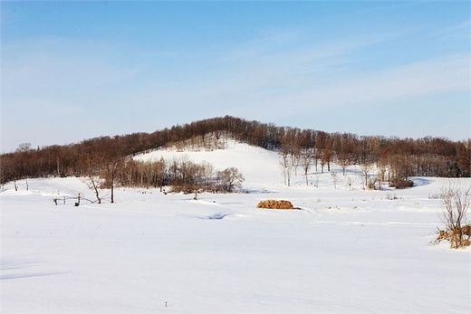 冬季来东北吧，体验 -34度的的冰凉-吉林市,雪乡,雾凇岛