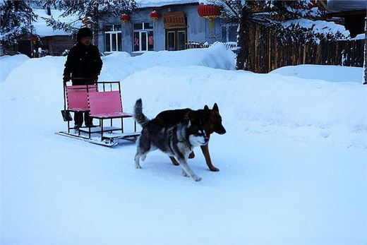 冬季来东北吧，体验 -34度的的冰凉-吉林市,雪乡,雾凇岛