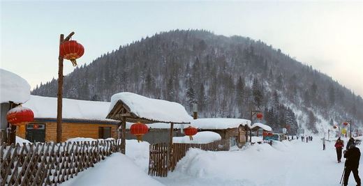 冬季来东北吧，体验 -34度的的冰凉-吉林市,雪乡,雾凇岛