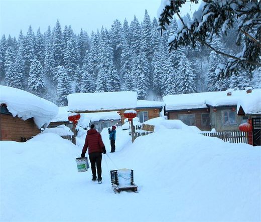 冬季来东北吧，体验 -34度的的冰凉-吉林市,雪乡,雾凇岛