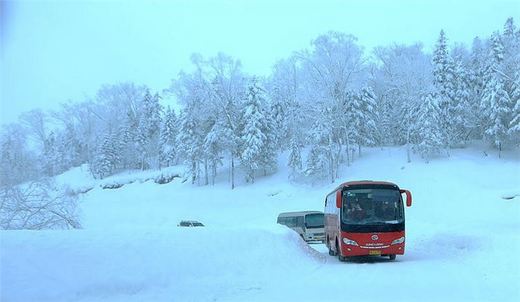 冬季来东北吧，体验 -34度的的冰凉-吉林市,雪乡,雾凇岛