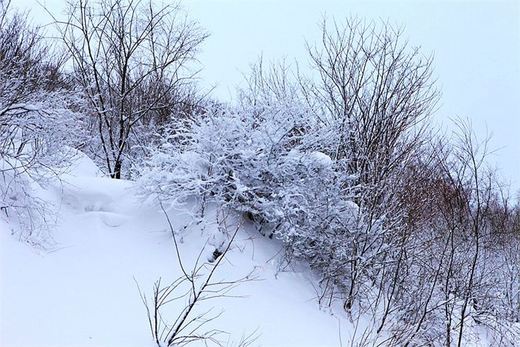 冬季来东北吧，体验 -34度的的冰凉-吉林市,雪乡,雾凇岛