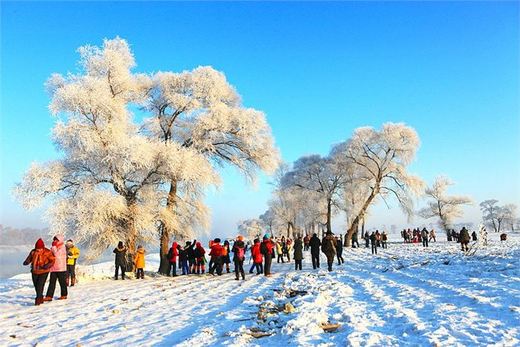 冬季来东北吧，体验 -34度的的冰凉-吉林市,雪乡,雾凇岛