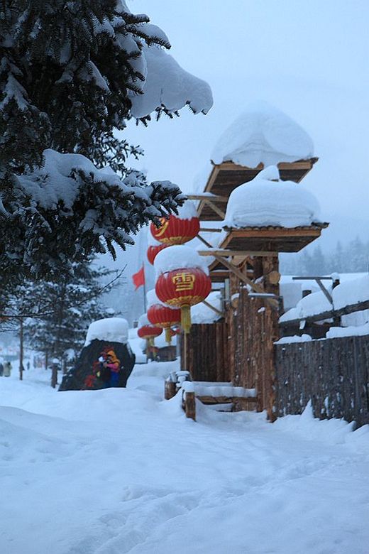 冬季来东北吧，体验 -34度的的冰凉-吉林市,雪乡,雾凇岛