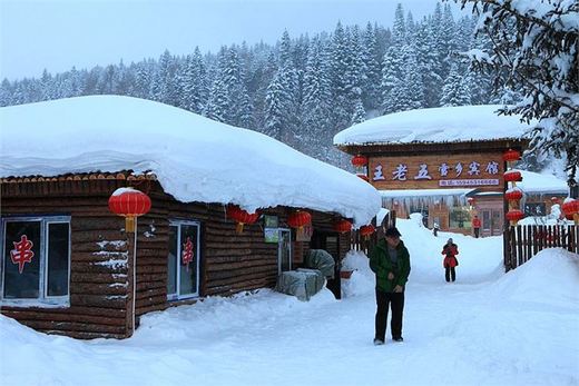 冬季来东北吧，体验 -34度的的冰凉-吉林市,雪乡,雾凇岛