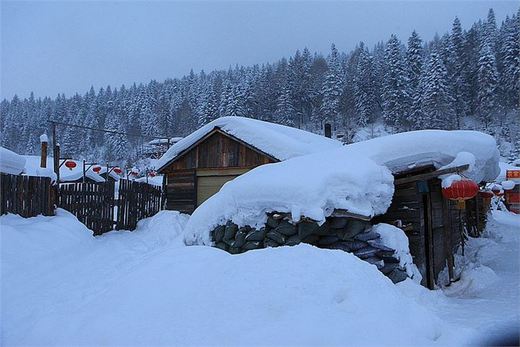 冬季来东北吧，体验 -34度的的冰凉-吉林市,雪乡,雾凇岛