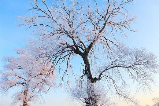 冬季来东北吧，体验 -34度的的冰凉-吉林市,雪乡,雾凇岛