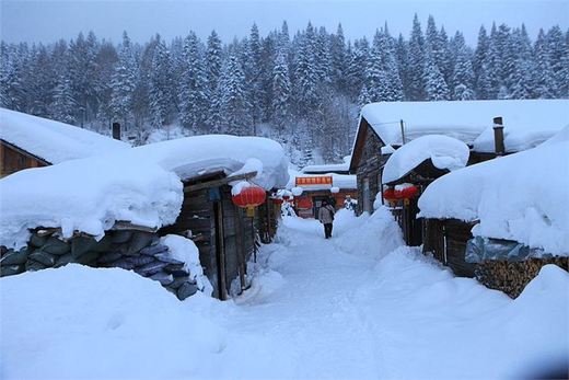 冬季来东北吧，体验 -34度的的冰凉-吉林市,雪乡,雾凇岛