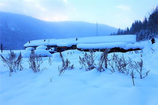 冬季来东北吧，体验 -34度的的冰凉-吉林市,雪乡,雾凇岛