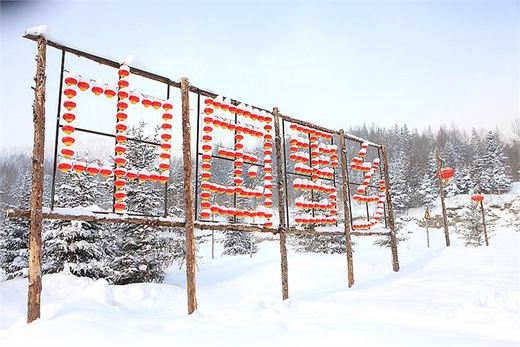 冬季来东北吧，体验 -34度的的冰凉-吉林市,雪乡,雾凇岛