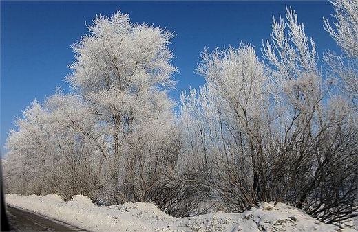 冬季来东北吧，体验 -34度的的冰凉-吉林市,雪乡,雾凇岛