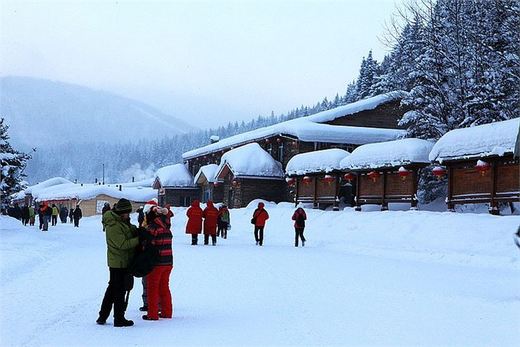 冬季来东北吧，体验 -34度的的冰凉-吉林市,雪乡,雾凇岛