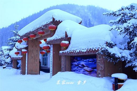 冬季来东北吧，体验 -34度的的冰凉-吉林市,雪乡,雾凇岛