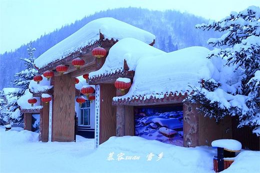 冬季来东北吧，体验 -34度的的冰凉-吉林市,雪乡,雾凇岛