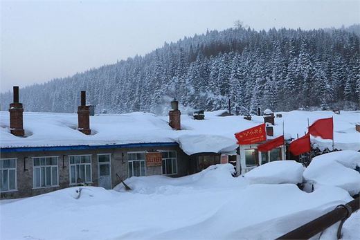 冬季来东北吧，体验 -34度的的冰凉-吉林市,雪乡,雾凇岛