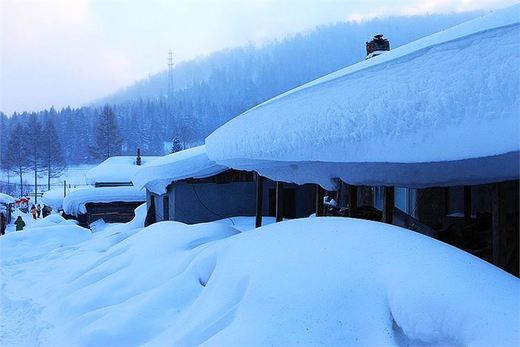 冬季来东北吧，体验 -34度的的冰凉-吉林市,雪乡,雾凇岛